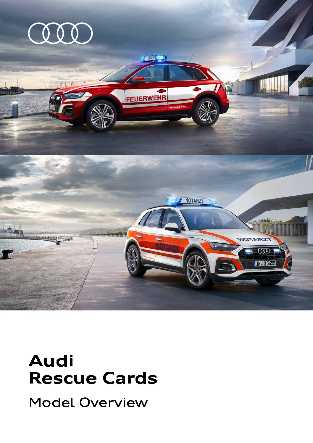 https://www.cisterninorevisioni.it/wp-content/uploads/2024/01/audi-schedasoccorso-pdf.jpg